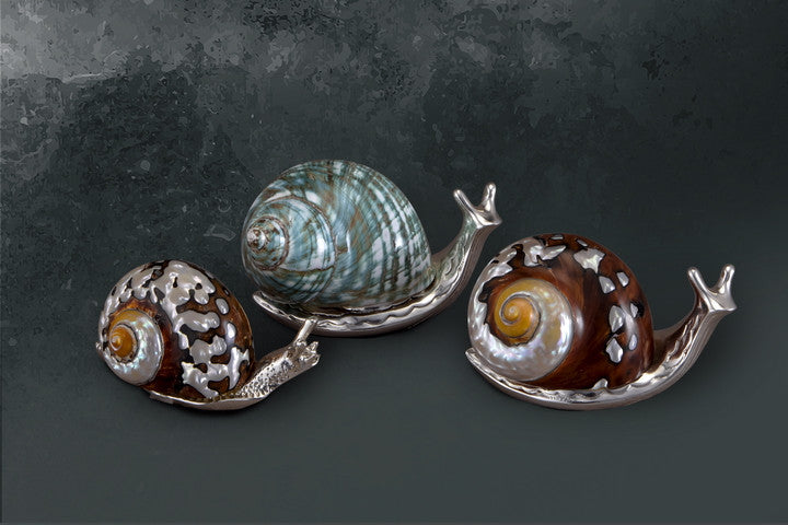 Snails-with Mother of Pearl - Barton,Son & Co.